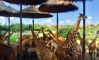 Safari World